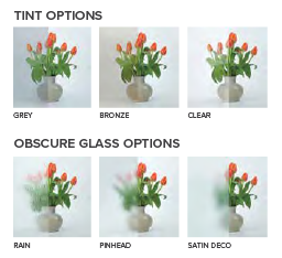glass tint and obscure options