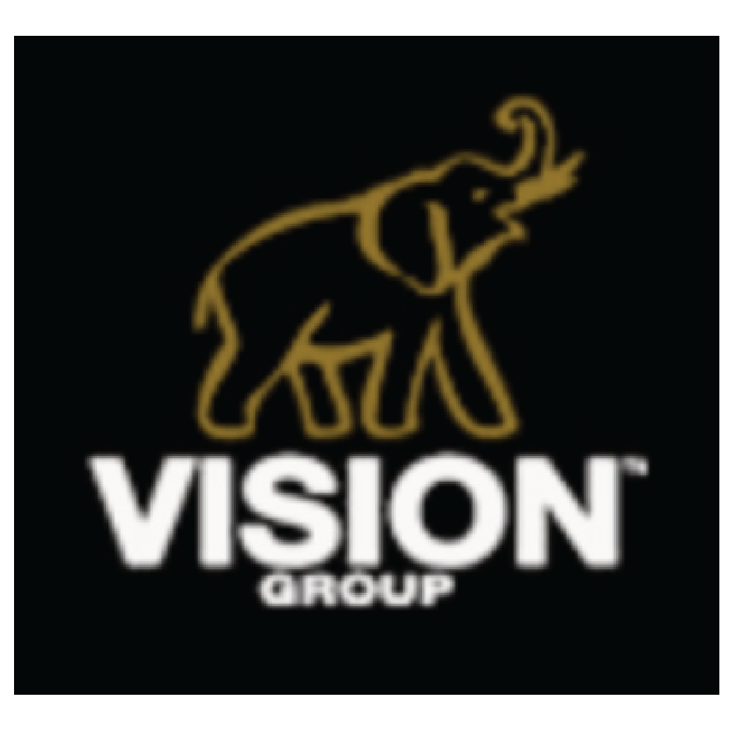 vision group 01
